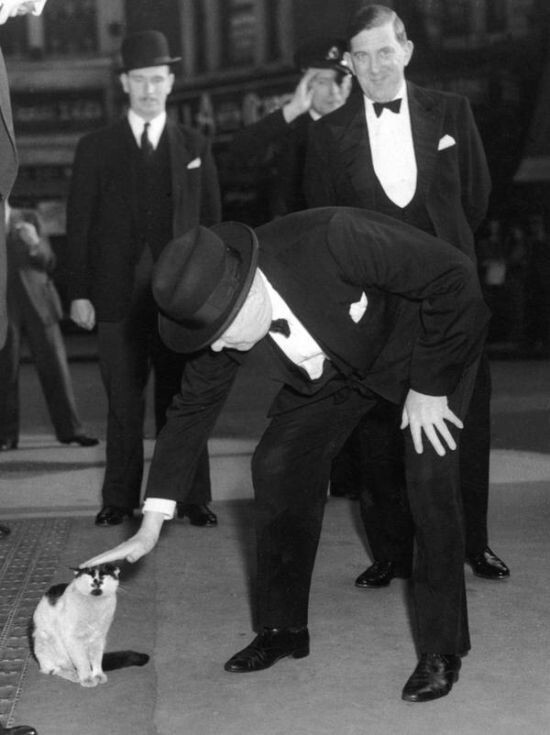 Британский премьер–министр Уинстон Черчилль остановился, чтобы погладить кошку на станции Liverpool Street, 24 мая 1952 года, Лондон 