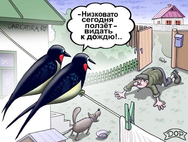 Карикатуры всякие-разные