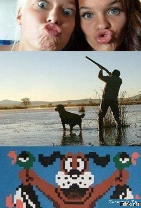 Из солянки