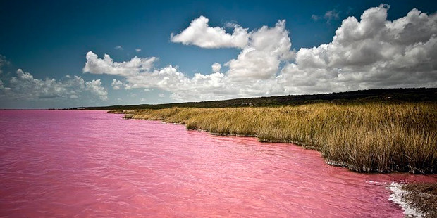 Розовое озеро на острове Миддл