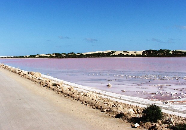 Розовое озеро на острове Миддл