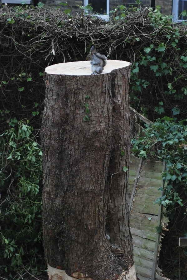  Грустный момент