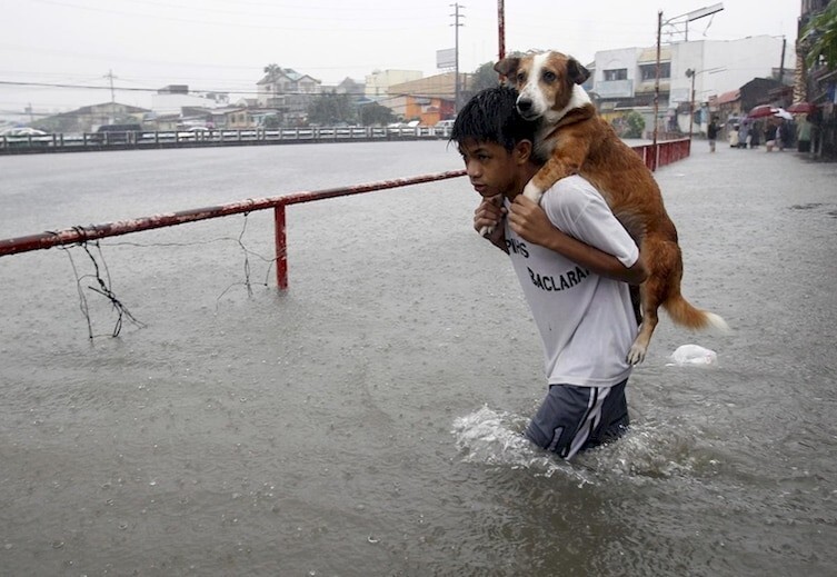 5. Мальчик спасает своего пса от наводнения