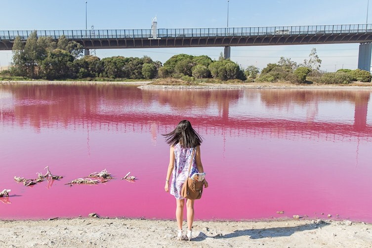 10. Розовое озеро в западной Австралии