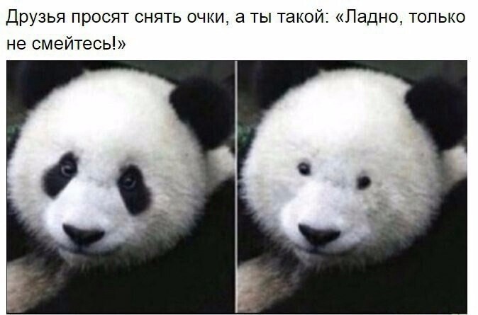 Что такое носить очки?