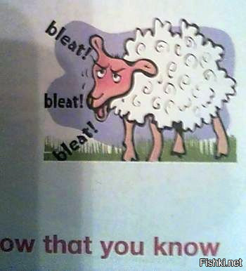 Это овечка из детского учебника по английскому