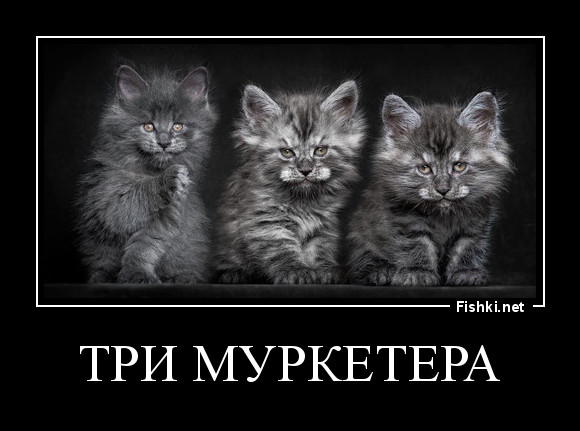 три муркетера