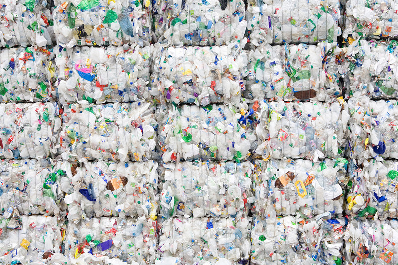 Японские учёные нашли микроорганизм, способный разлагать пластик