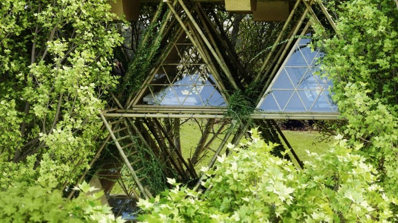Фантастический многоэтажный «дом на дереве» из бамбука
