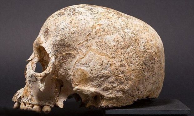 Ученые создали модель головы девушки, умершей 3700 лет назад