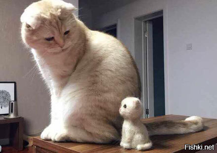 Кот и его маленькая копия