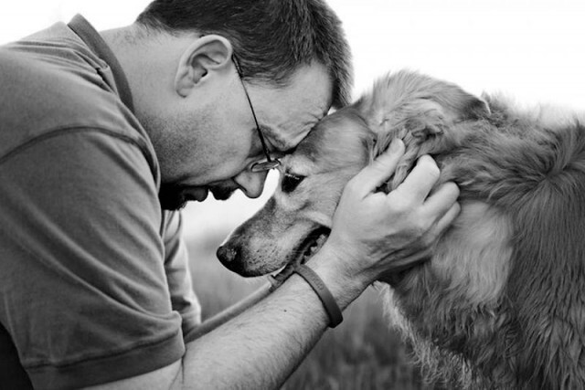)Последние фото хозяина с собакой перед усыплением из - за неизлечимого диагноза. 