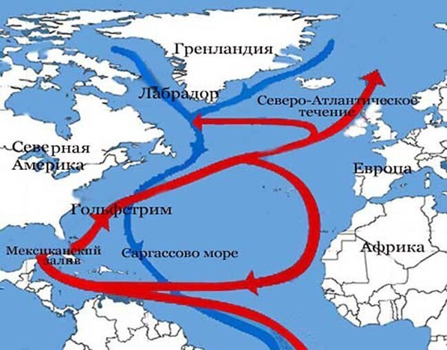 Почему он может сейчас остановиться?