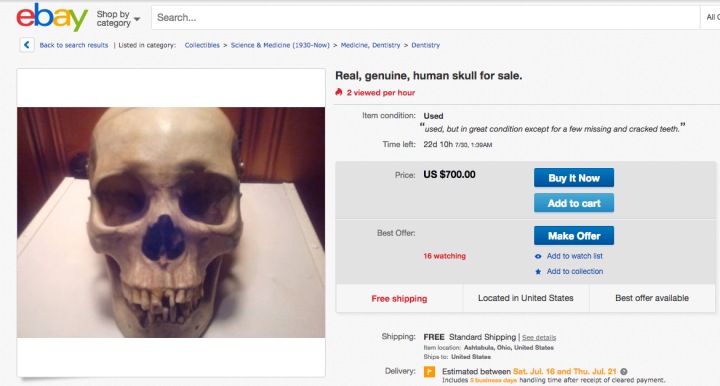  Неожиданно! Ebay интернет-аукцион запретил торговлю черепами людей