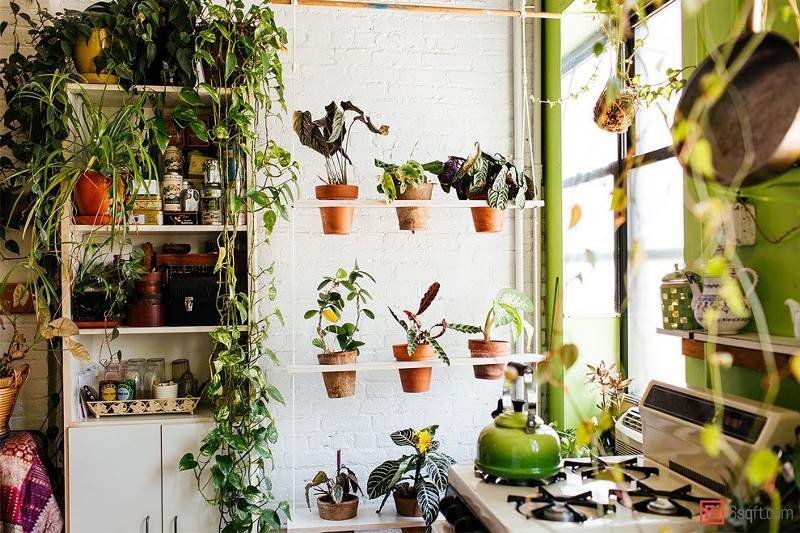 Cупермодель, выращивающая 500 растений в своей квартире