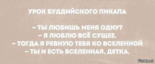 Из солянки