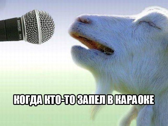 Смешные картинки с надписями