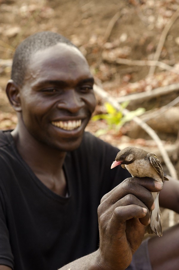 В Мозамбике люди научились говорить на птичьем языке