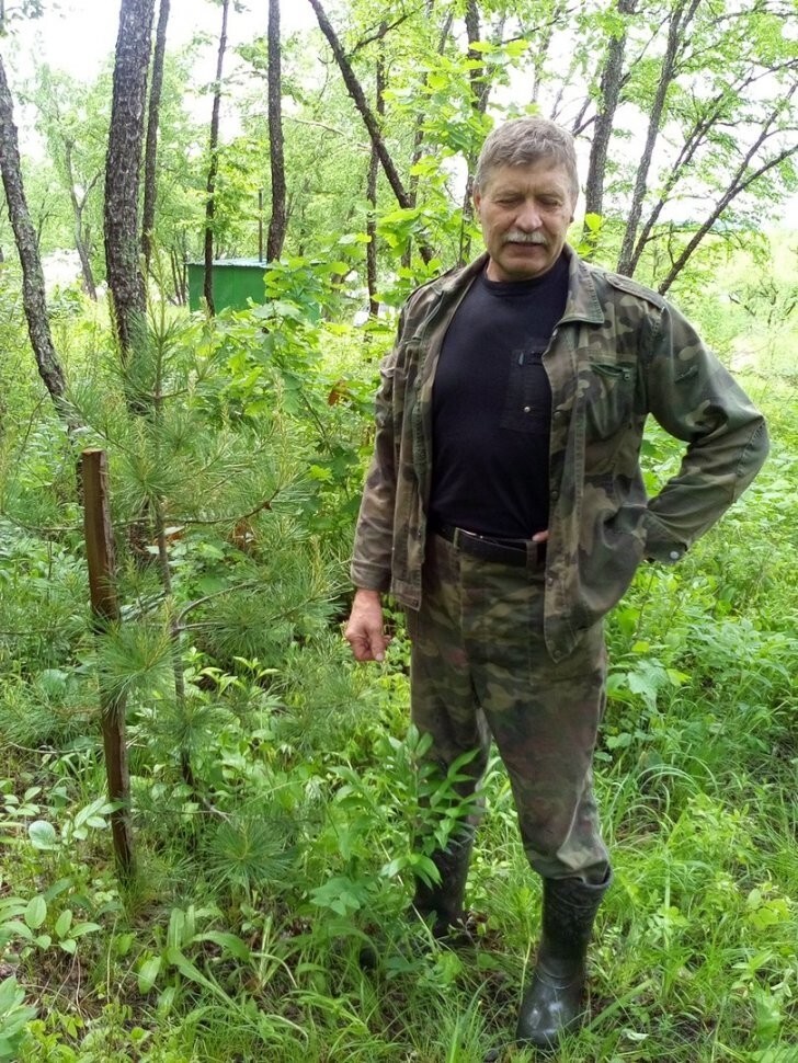 Восстанавление лесной зоны