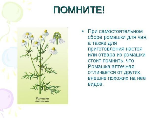 Лекарственные растения России