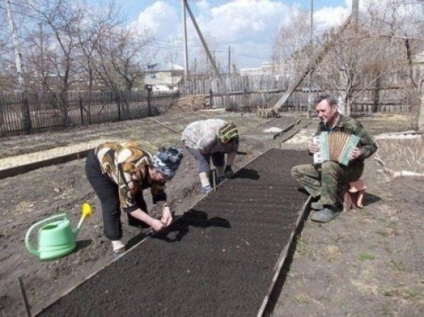 Вперед и с песней