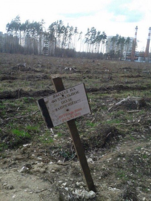 Спорт приколы