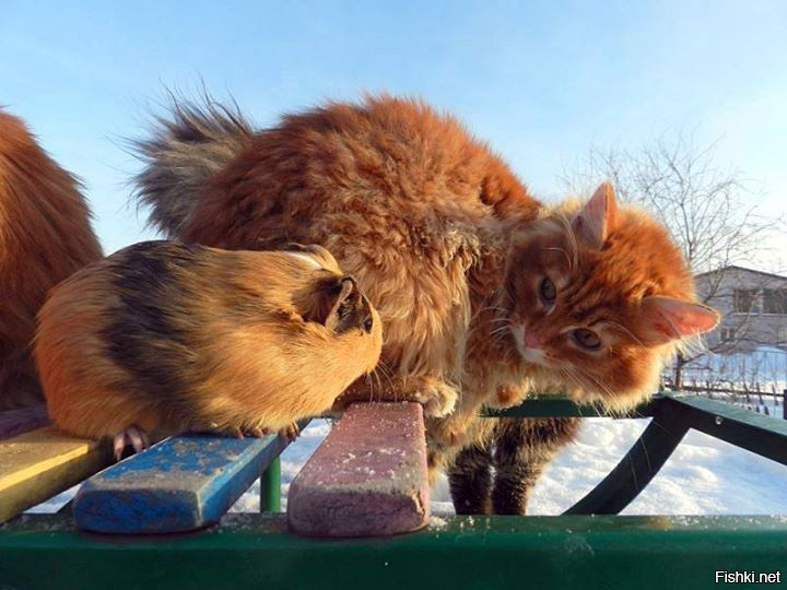 А вы, собственно, кто