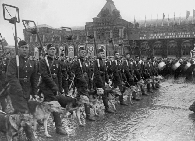 71-летие Парада Победы 1945 года