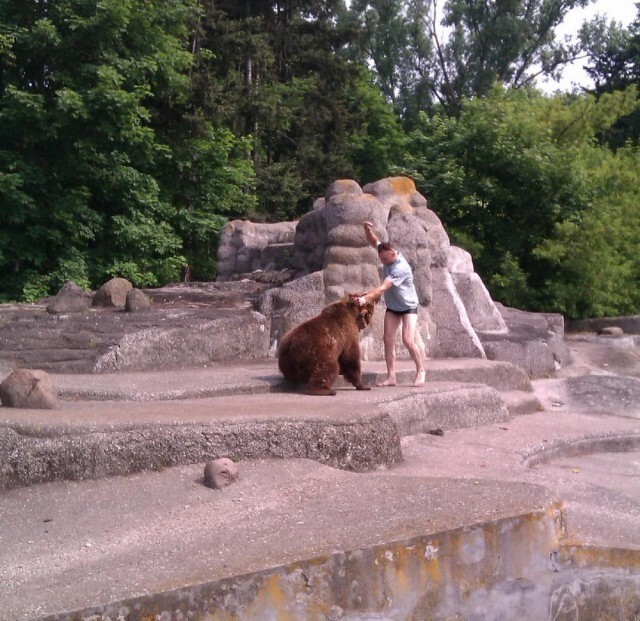 В варшавском зоопарке пьяный прыгнул к медведю
