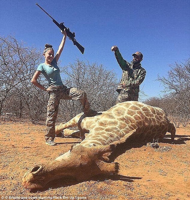 Тренд делиться трофеями в соцсетях начала 12-летняя Арианна Гурдин из Юты. Девочка вызвала общественный резонанс, поделившись жуткими фотографиями, на которых триумфально позировала над телом застреленного ею в Африке жирафа. 