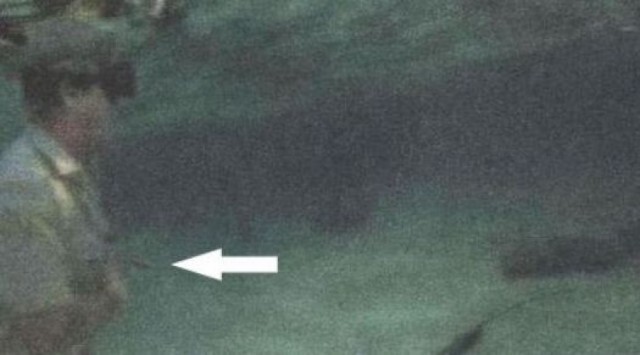 4 сентября 2006 года во время подводных съемок в районе Большого барьерного рифа его ударил в грудь шипохвостый скат 