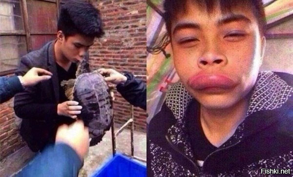 Парень хотел сфотографировать момент поцелуя с черепахой