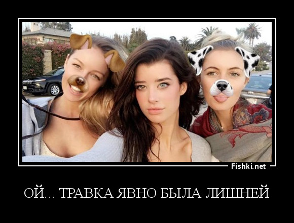 Ой... Травка явно была лишней