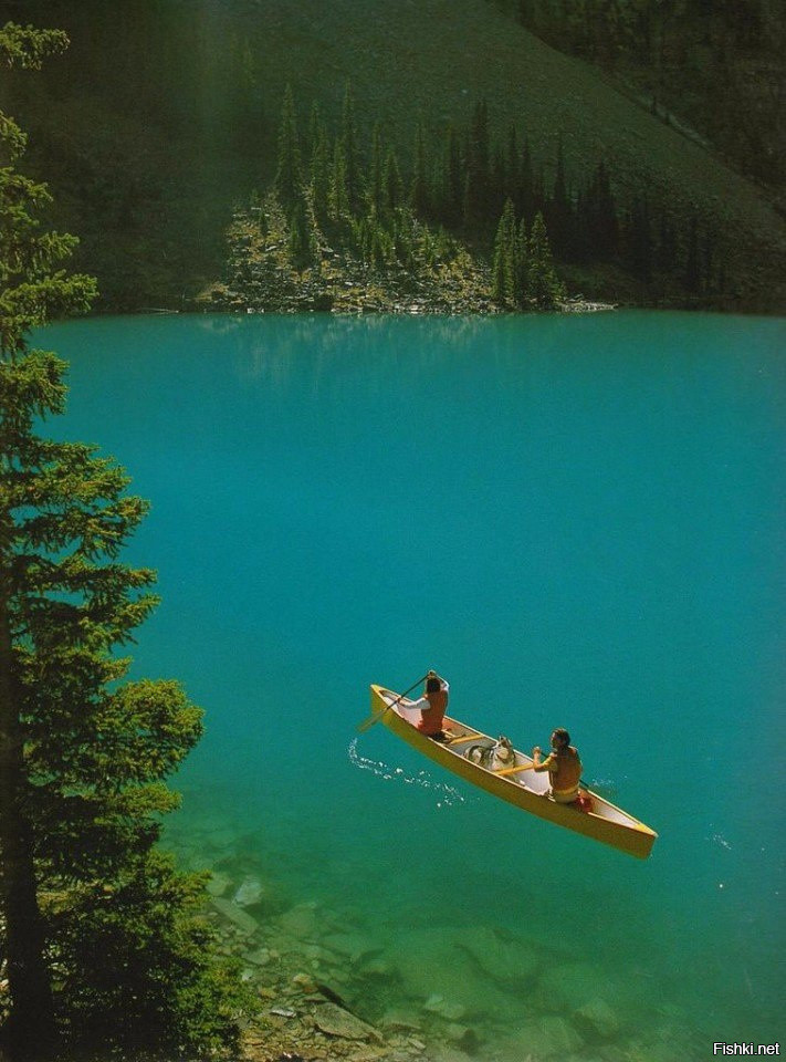 Канадские Скалистые горы, 1993 год
