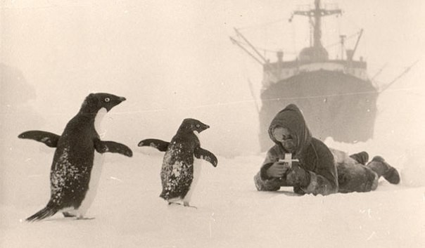 Первая Советская Антарктическая Экспедиция, 1955-1956 гг  