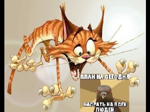 Дикие котята косят под прайд львов 