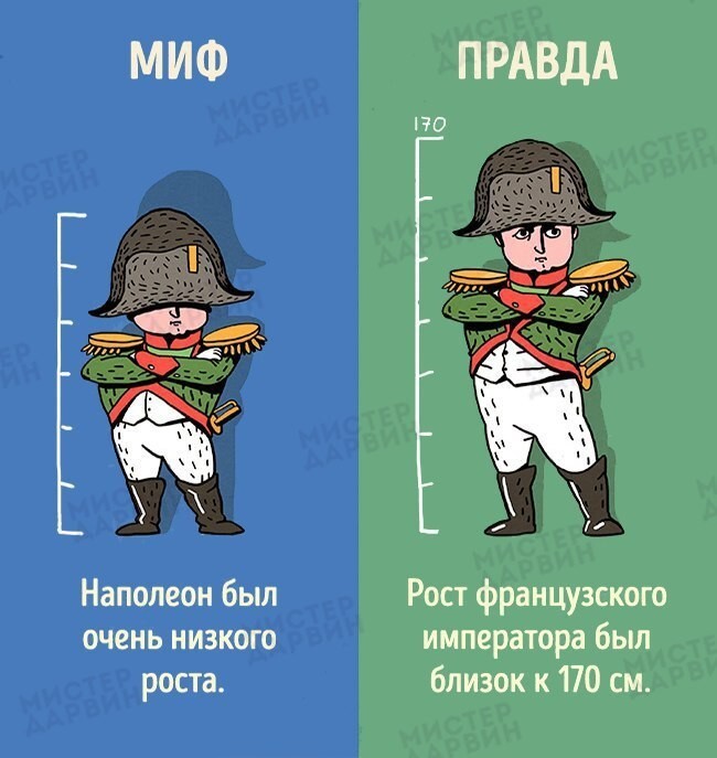 Исторические мифы, в которые нам пора перестать верить