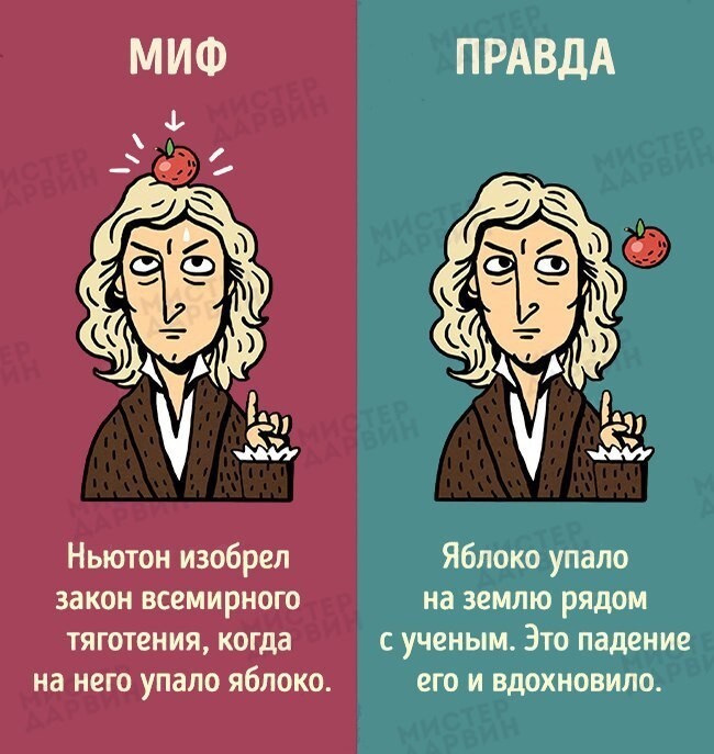 Исторические мифы, в которые нам пора перестать верить