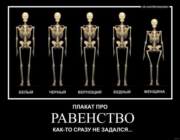 Равенство полов. 8 видов спорта, в которых женщины не хуже мужчин