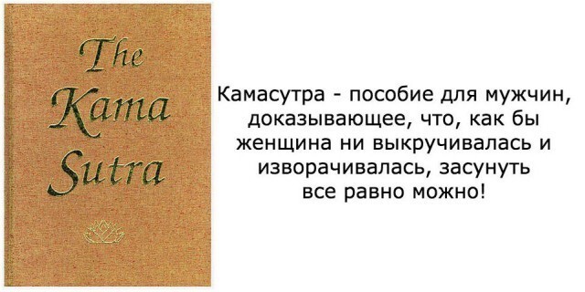 Картинки и приколы из сети, для поднятия настроения