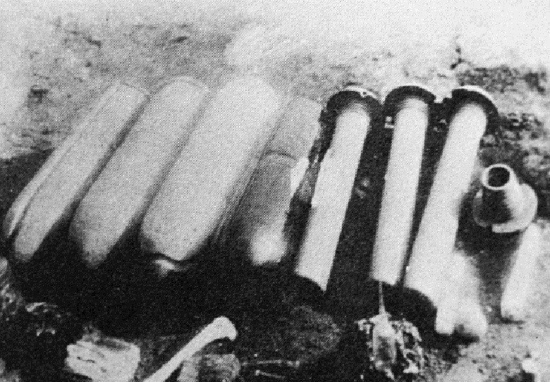 Как в СССР судили японцев, испытывавших на людях биологическое оружие