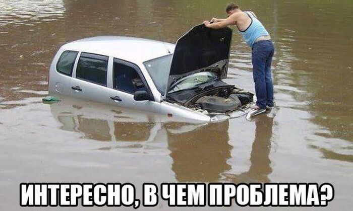 Авто приколы 