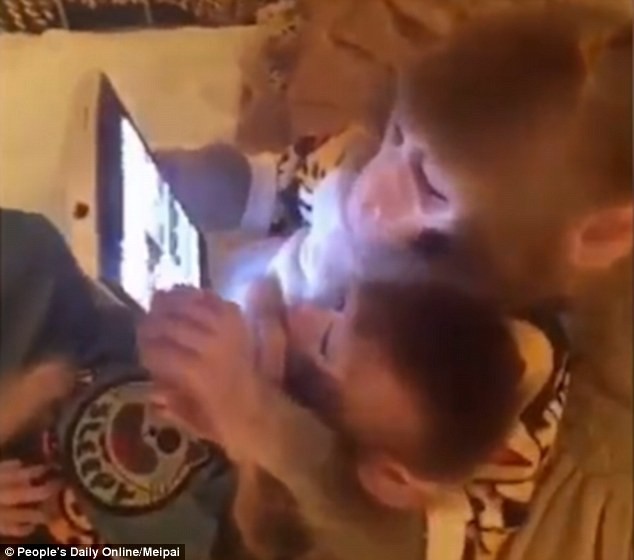 Папа обезьян читает на планшете ленту новостей