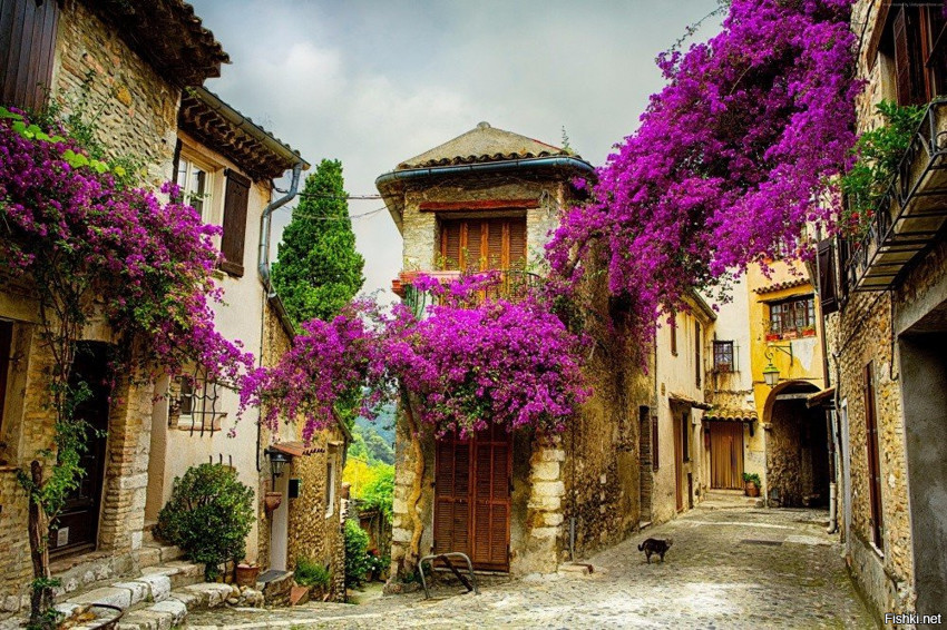 Невыносимо прекрасный Прованс, Франция