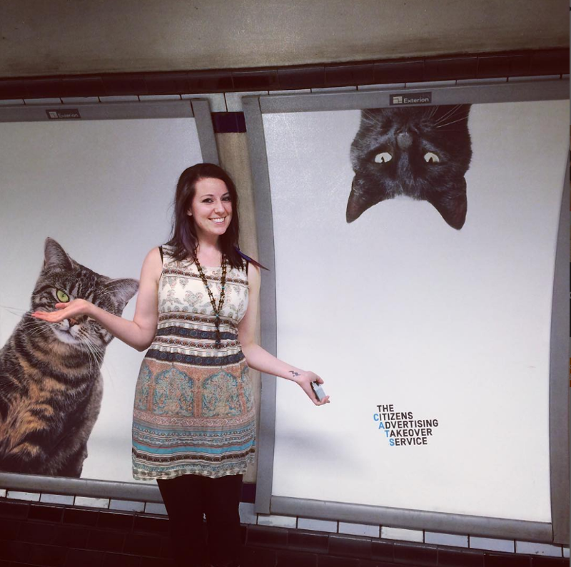 Рекламу заменят кошки