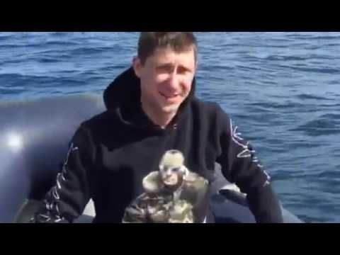 Как Дельфин испугал рыбаков в Баренцевом море 
