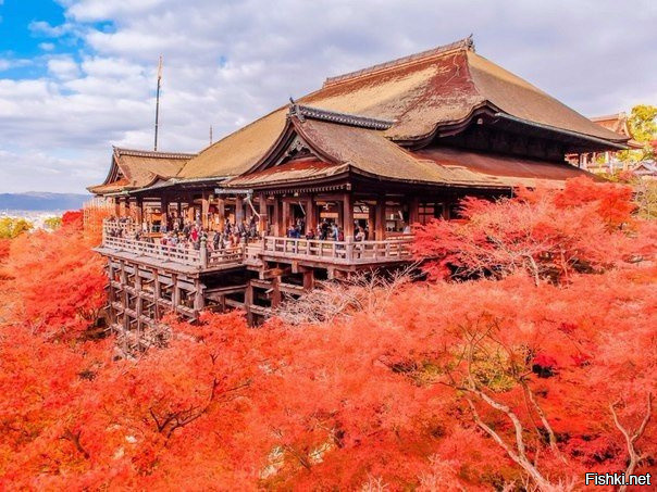 Великолепная осень в Киото, Япония