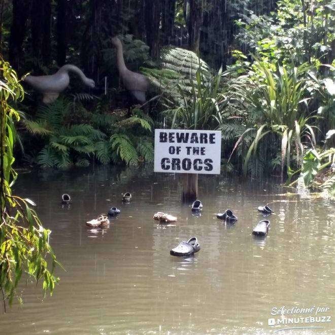 Надпись: «Осторожно - кроксы!». Игра слов: crocs (крокодилы) и crocs (марка обуви).