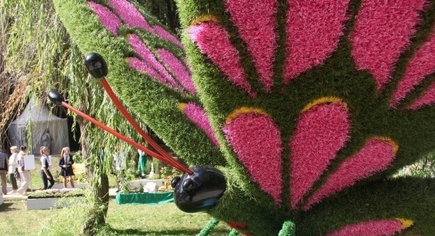 Один из глобальных проектов – Четвертый международный фестиваль «Воронеж - город сад»