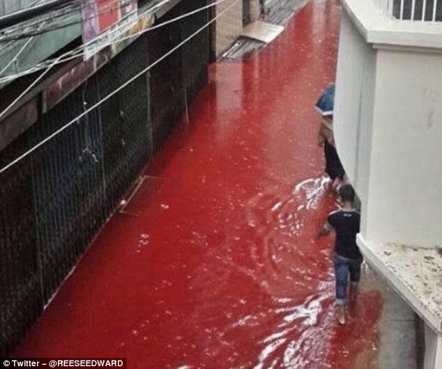 Столицу Бангладеш затопили реки крови